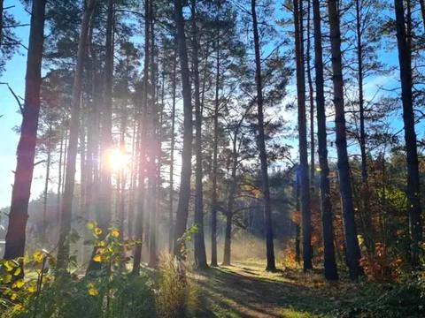 будинок за адресою Невеличука, 50