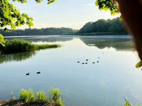 будинок за адресою Центральна