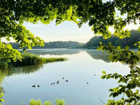 будинок за адресою Центральна