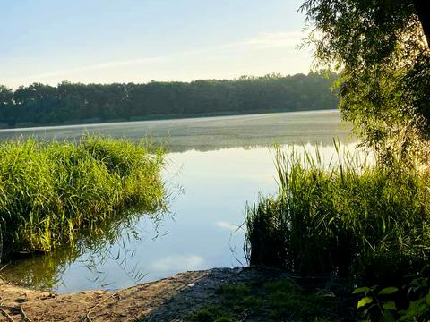 будинок за адресою Центральна
