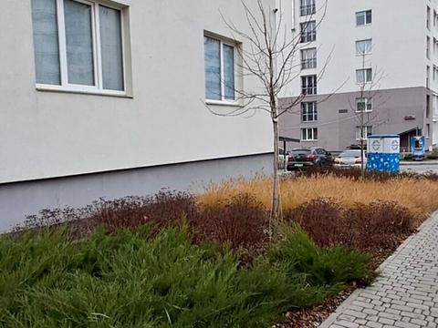 квартира за адресою Миколаївська вул., 33