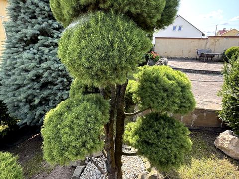 будинок за адресою Лесі Українки вул., 1