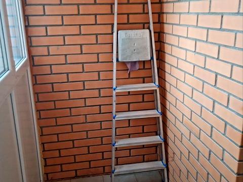 квартира по адресу Жаботинского ул. (Пролетарская улица), 56а