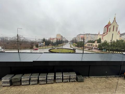 квартира за адресою Куліша бульв., (Будинок)