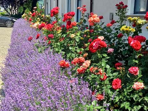 квартира за адресою с. Фонтанка, Грецька вул., 2