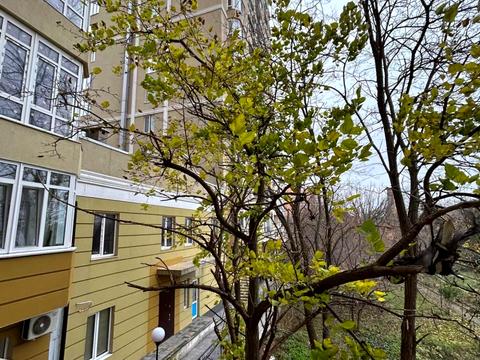 квартира по адресу Солнечная ул., 4