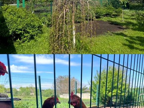 будинок за адресою Зернова, 26