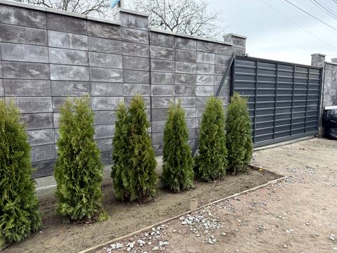 будинок за адресою Микільська вул. (Димитрова)