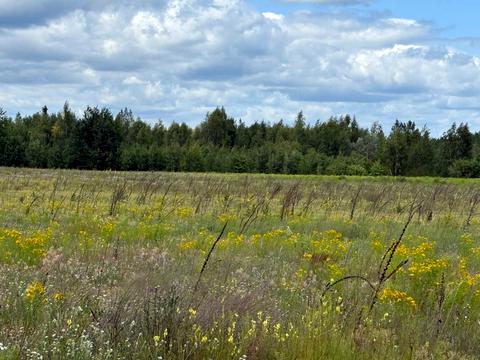 участок по адресу 