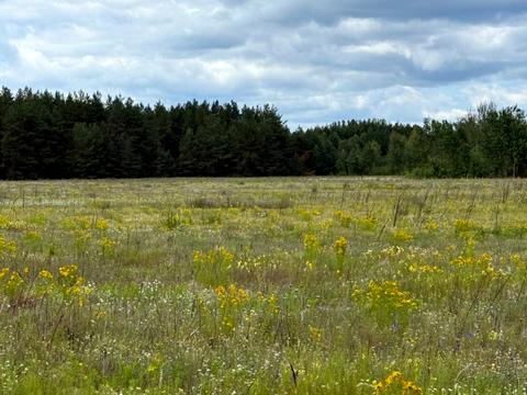 участок по адресу 
