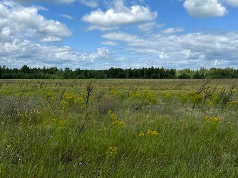 участок по адресу 