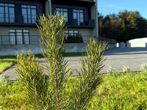 дом по адресу Євгена Коновальця, 40