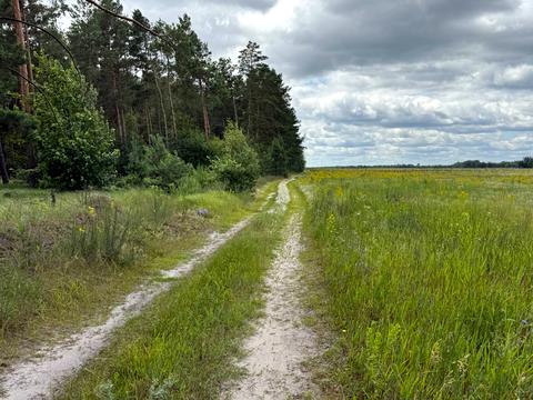 участок по адресу 