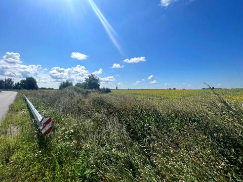 ділянка за адресою 