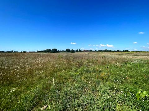 ділянка за адресою Польова