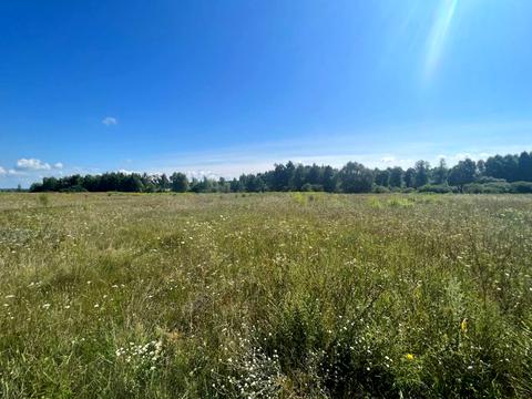 ділянка за адресою Польова