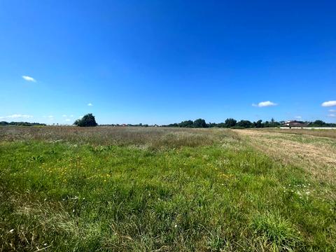 ділянка за адресою Польова