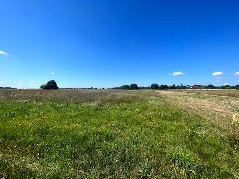 ділянка за адресою Польова