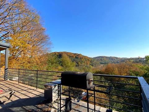 будинок за адресою с. Бірки, Схили