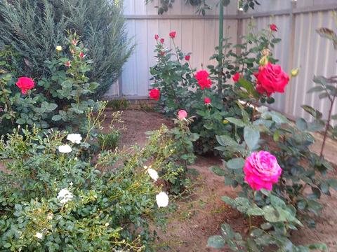 дом по адресу Ставкова ул.