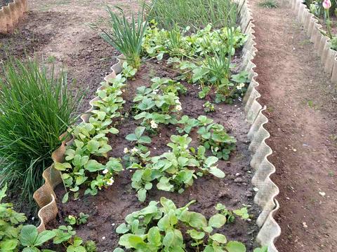 дом по адресу Ставкова ул.