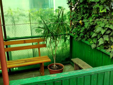 дом по адресу Ставкова ул.