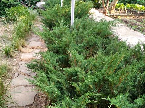 дом по адресу Ставкова ул.