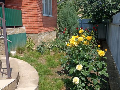 дом по адресу Ставкова ул.