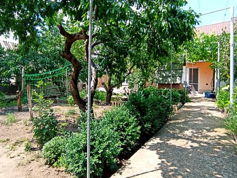 дом по адресу Ставкова ул.