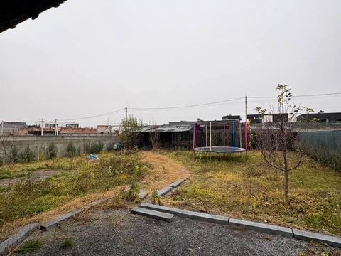 будинок за адресою абрикосова