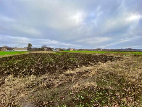 дом по адресу Новоянівська