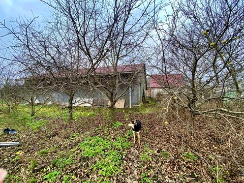 дом по адресу Новоянівська