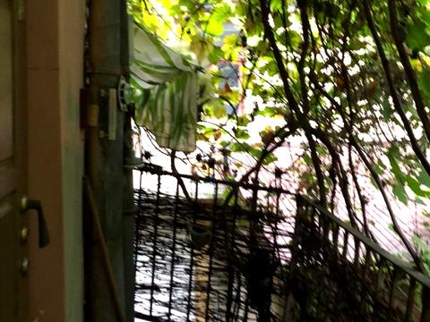 квартира за адресою Свободи просп. (), 3