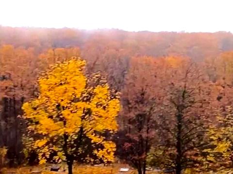 квартира за адресою Перемоги просп., 78б