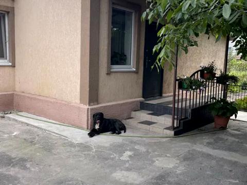 дом по адресу Моторная ул., 135