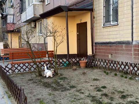 квартира за адресою Петра Полтави вул. (Богомаза), 188-Б