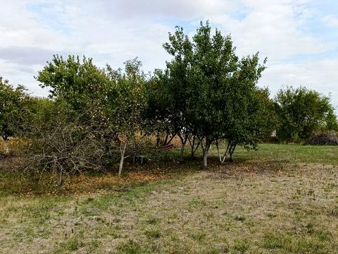 дом по адресу Обухівка