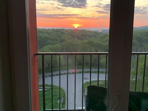 квартира за адресою Пасічна вул., 49б