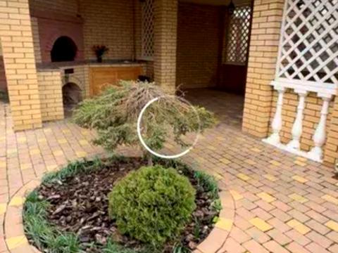 дом по адресу Мирный