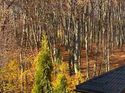 дом по адресу Стешенка