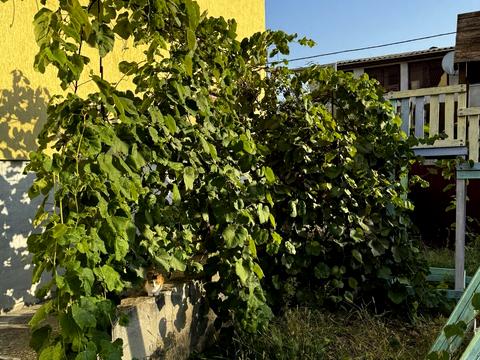 дом по адресу Проїзд 2 Бурштиновий, 12