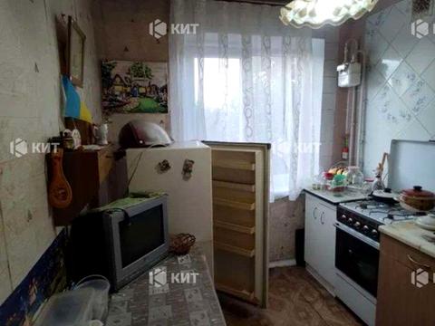 квартира по адресу Тракторостроителей просп., 122