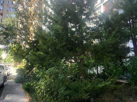 квартира по адресу Добровольцев ул. (Маршала Говорова), 10/2