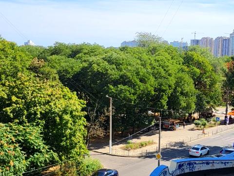 квартира по адресу Добровольцев ул. (Маршала Говорова), 10/2