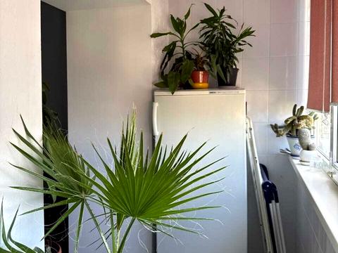 квартира за адресою Панаса Мирного вул., 21