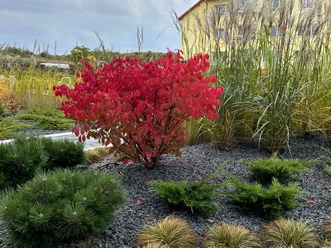 квартира за адресою Червоної Калини вул., (Будинок)