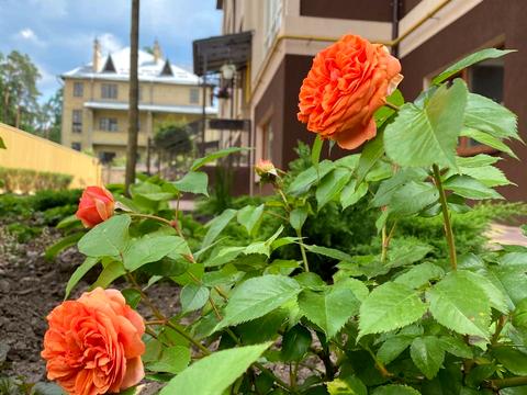 квартира за адресою Антонія Михайловського вул., 72-Г