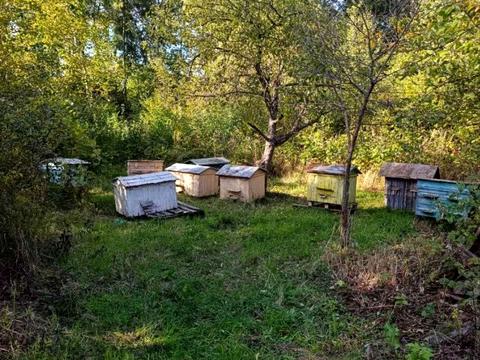 ділянка за адресою 