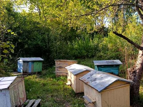 участок по адресу 