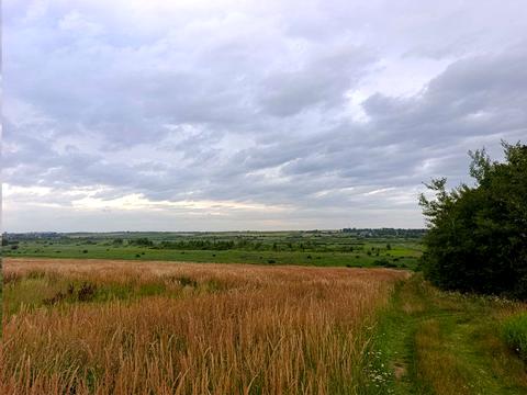 участок по адресу с. Сытыхов, 